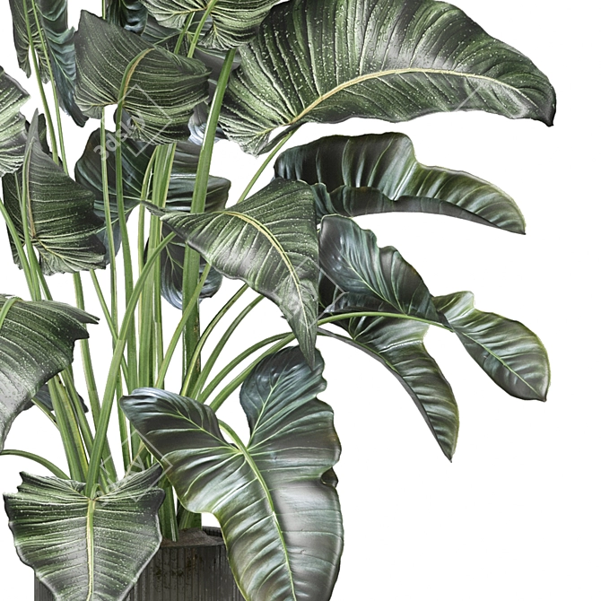 Indoor Greenery Collection - Set 1222 3D model image 3