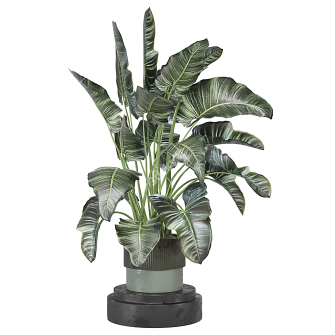 Indoor Greenery Collection - Set 1222 3D model image 4