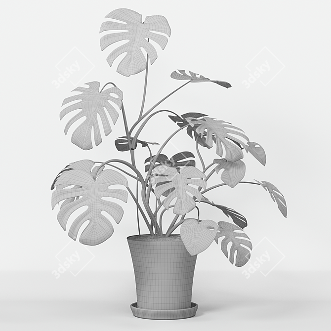 Monster Decorative Plant in Concrete Pot 3D model image 7