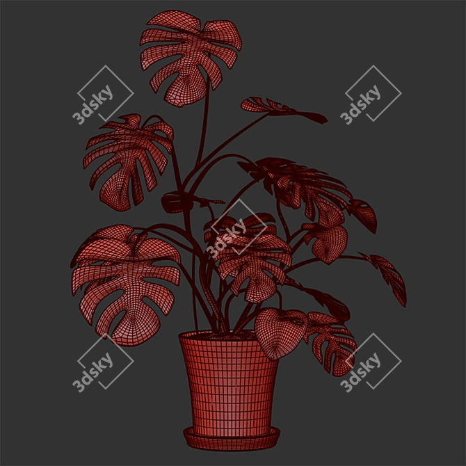 Monster Decorative Plant in Concrete Pot 3D model image 1