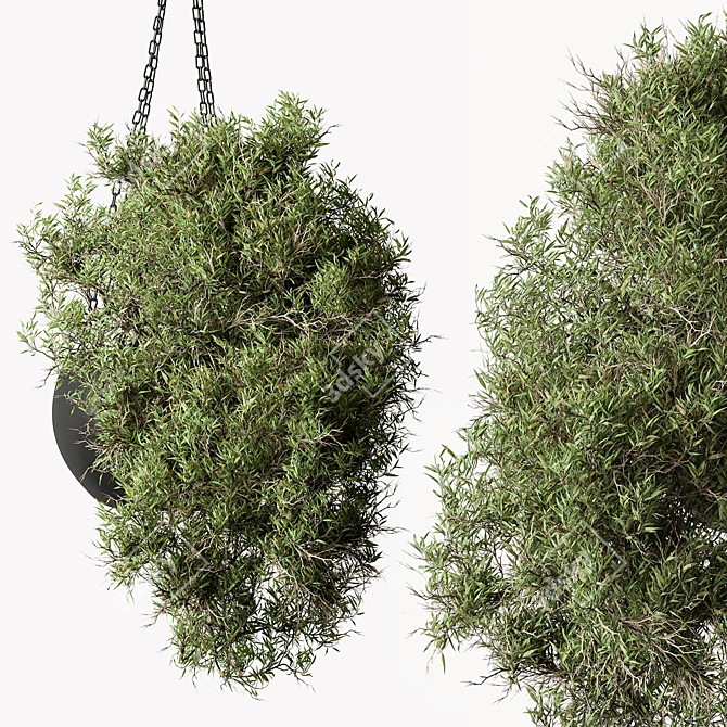 Lush Hanging Indoor Plant 3D model image 1