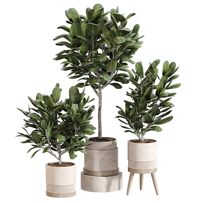 Modern Indoor Plant Set 069 3D model image 1