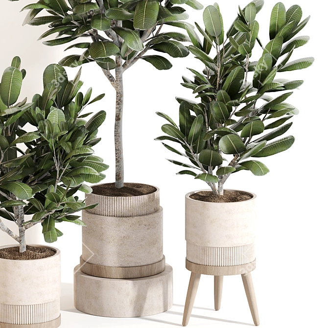 Modern Indoor Plant Set 069 3D model image 2