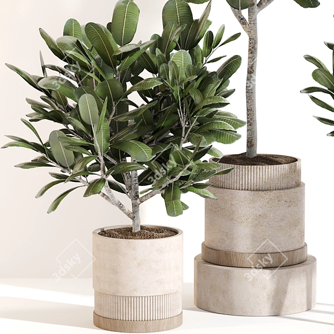 Modern Indoor Plant Set 069 3D model image 3