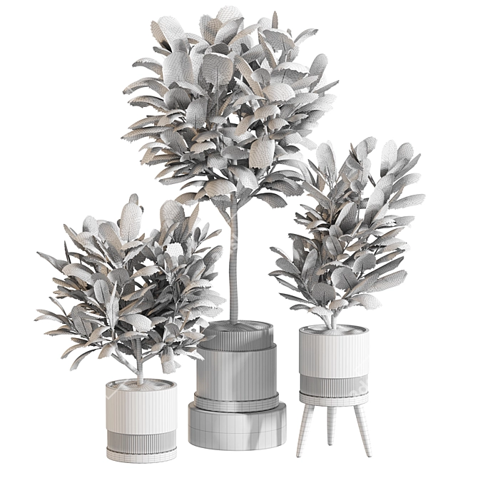 Modern Indoor Plant Set 069 3D model image 4