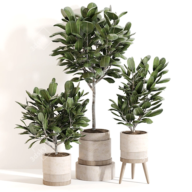 Modern Indoor Plant Set 069 3D model image 5