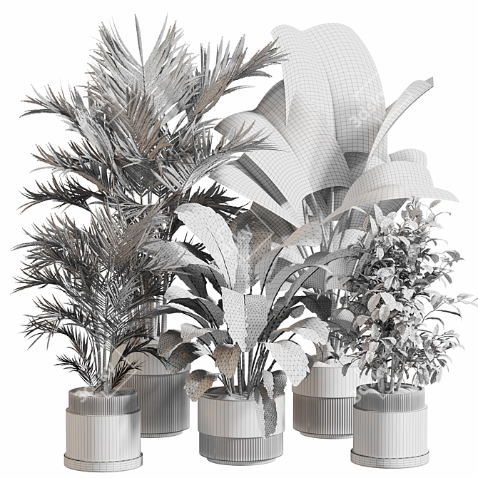  Indoor Plant Set 065: V-Ray & Corona Render, High Quality 3D model image 5