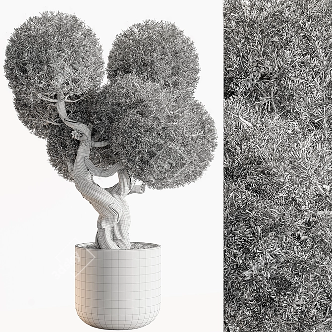 Topiary Ball Indoor Plant 687 3D model image 4