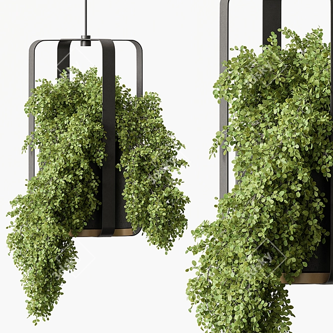 Green Oasis - Hanging Plants 3D model image 1