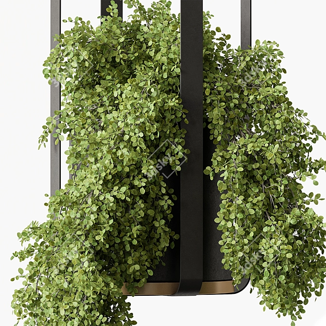 Green Oasis - Hanging Plants 3D model image 2