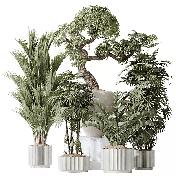 5 Model Indoor Plant Set 3D model image 1