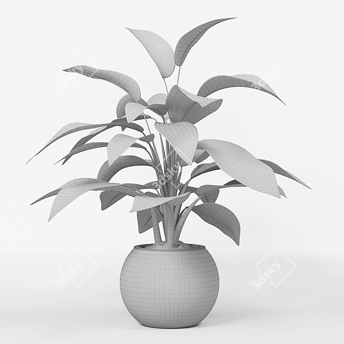 Infinity Aglaonema Plant 3D Model 3D model image 11