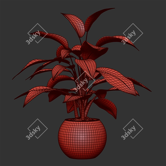 Infinity Aglaonema Plant 3D Model 3D model image 12