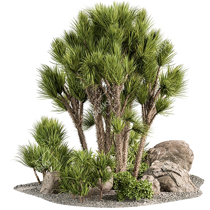 Outdoor Garden Plants for Sale 3D model image 1