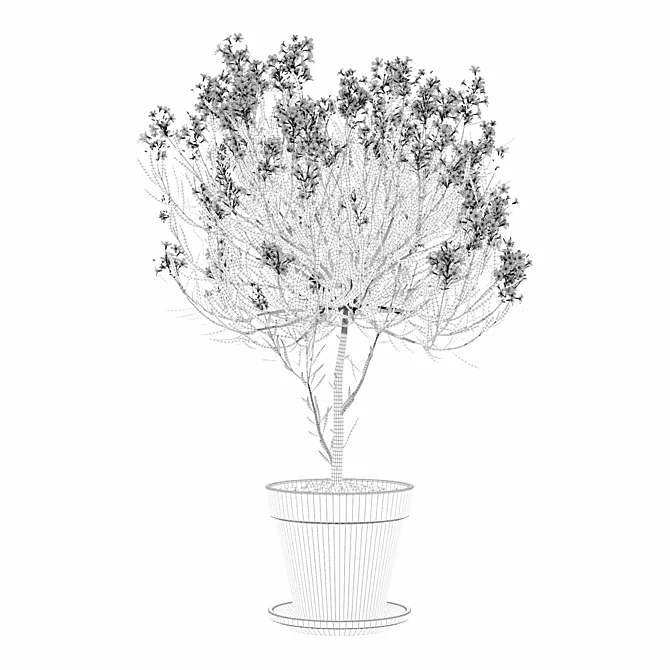 Lush Oleander Plant Collection 3D model image 6