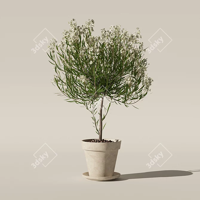 Lush Oleander Plant Collection 3D model image 7