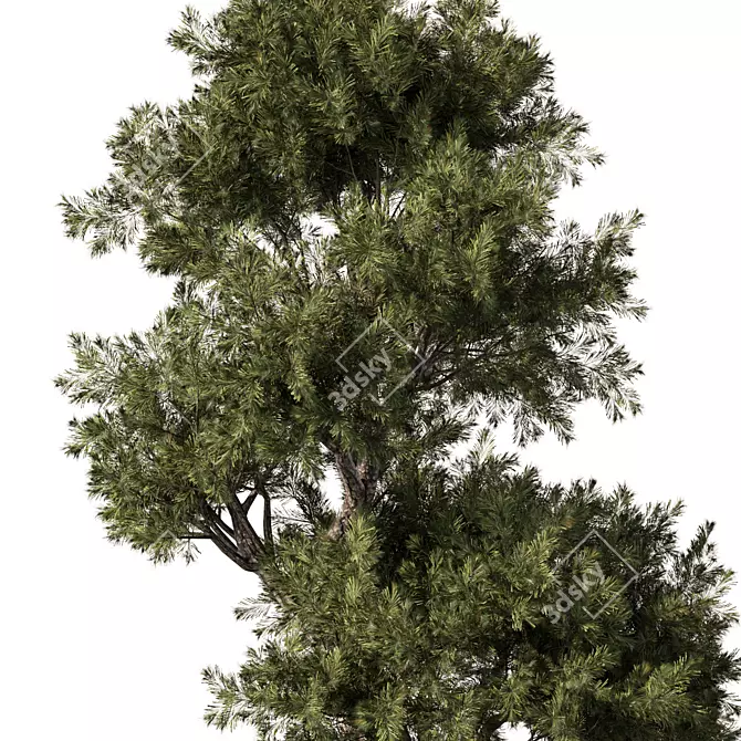 Elegant Tree Sculpture Decor 3D model image 2