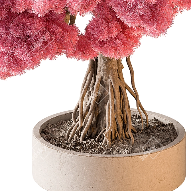 Bonsai Beauty: Indoor Plant 658 3D model image 3