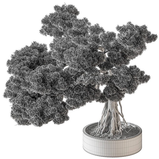 Bonsai Beauty: Indoor Plant 658 3D model image 4