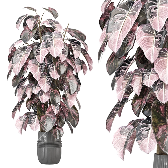 Lush Indoor Plants Collection 1236 3D model image 1