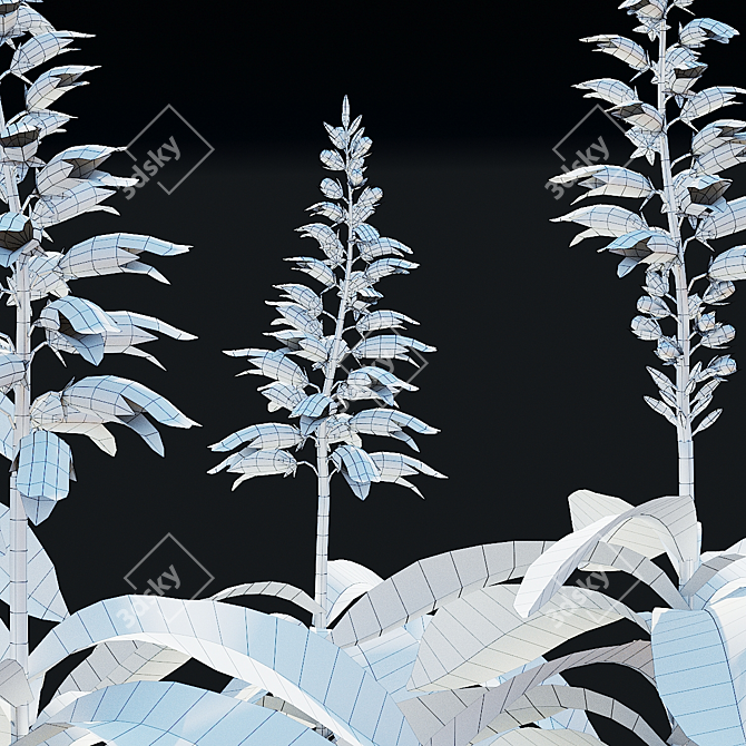 Canary Flower Digitalis Collection 3D model image 6