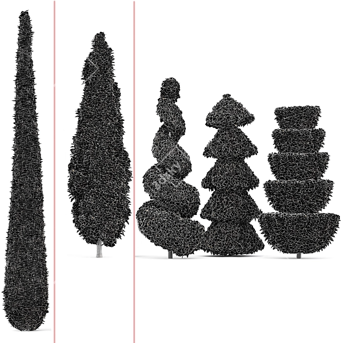 Pruned Cedar Trees 3D Models 3D model image 5