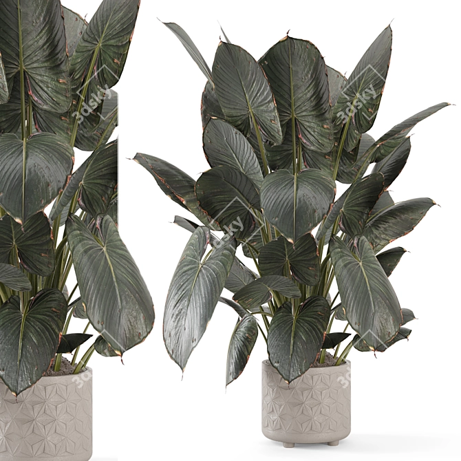 Modern Indoor Plant with Stylish Pot 3D model image 2