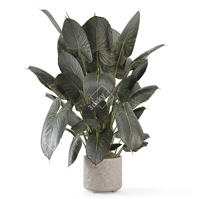 Modern Indoor Plant with Stylish Pot 3D model image 4