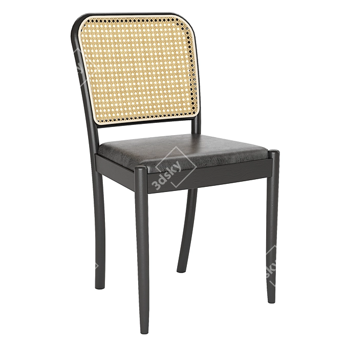 Modern Rattan Dining Chair 2017 3D model image 1