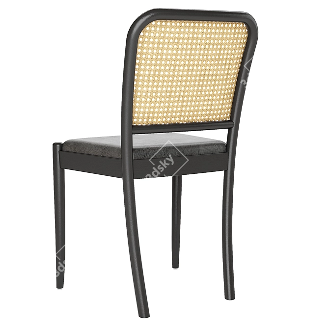 Modern Rattan Dining Chair 2017 3D model image 2