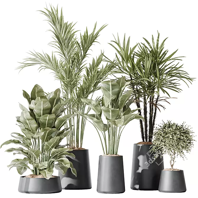 Modern Indoor Plant Set Collection 3D model image 1