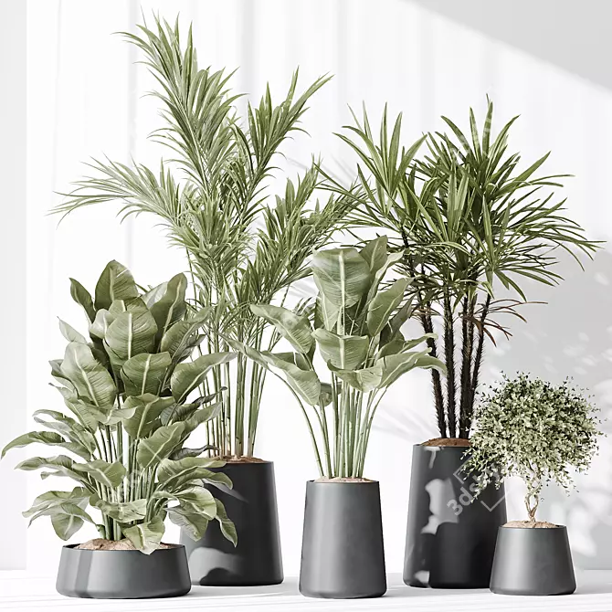 Modern Indoor Plant Set Collection 3D model image 2