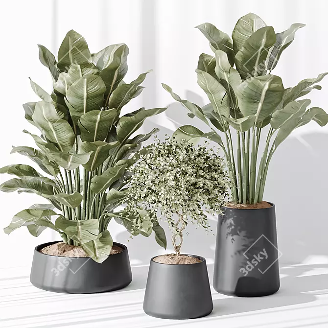 Modern Indoor Plant Set Collection 3D model image 3