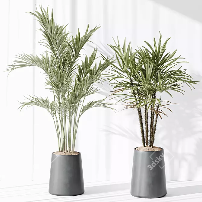 Modern Indoor Plant Set Collection 3D model image 4