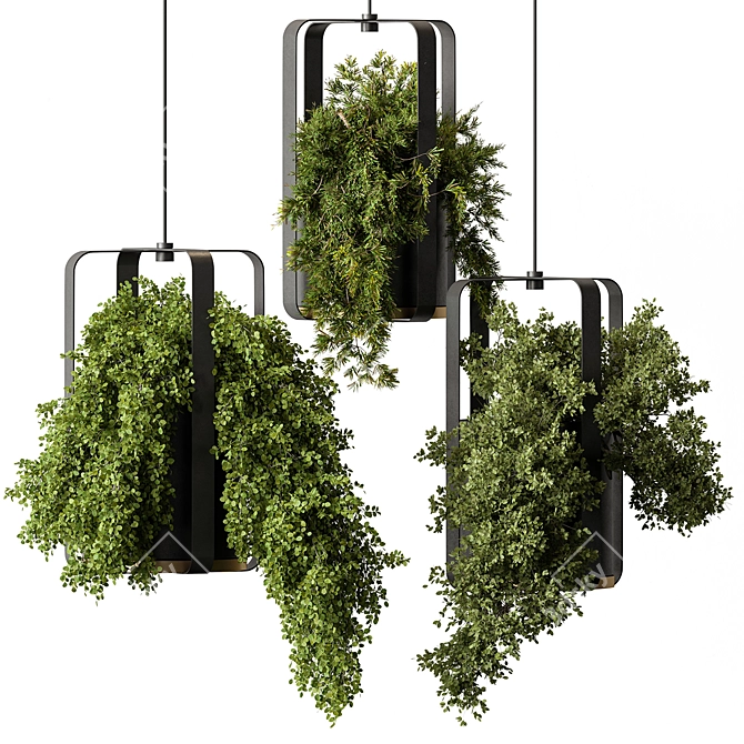 695 Hanging Indoor Plants 3D model image 1