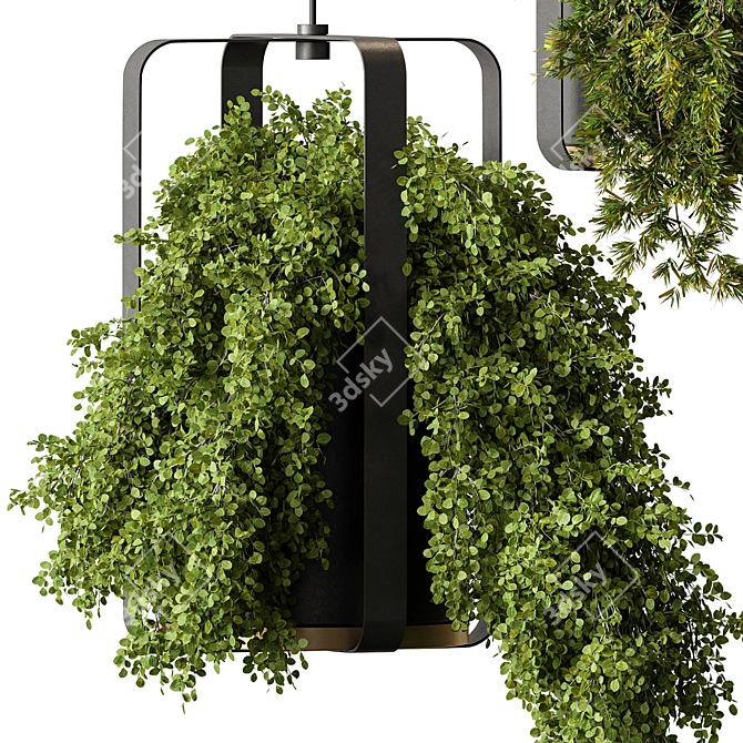 695 Hanging Indoor Plants 3D model image 2