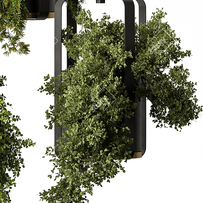 695 Hanging Indoor Plants 3D model image 3