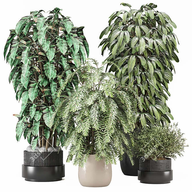 Indoor Plants Set 2015 V-Ray 3D model image 1