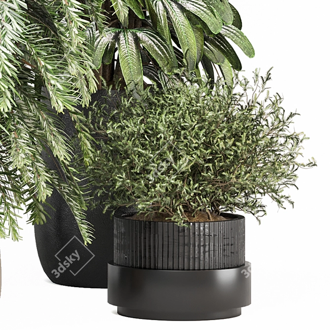 Indoor Plants Set 2015 V-Ray 3D model image 5