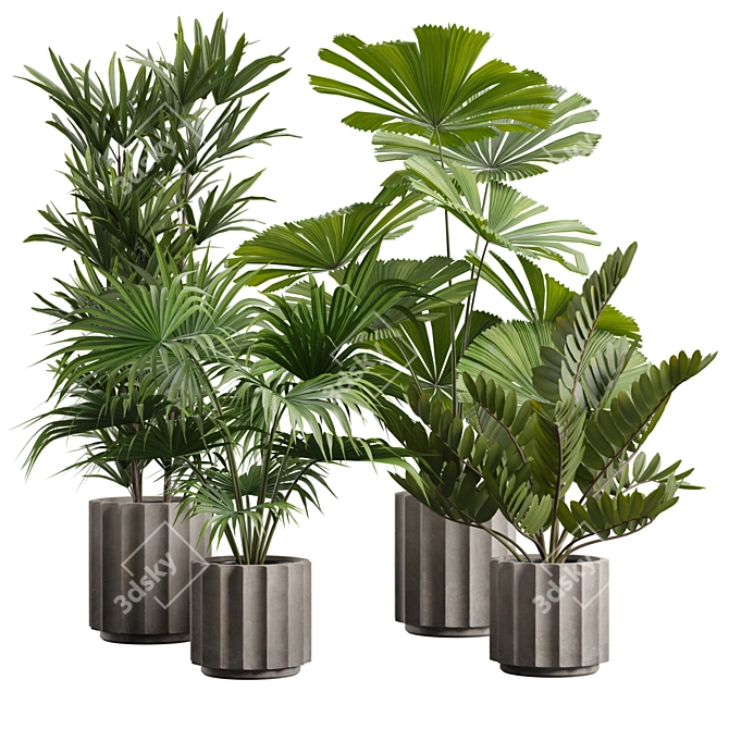 Exotic Indoor Plants Pack 66 3D model image 1