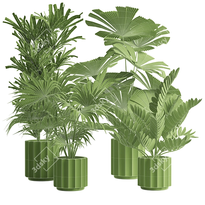 Exotic Indoor Plants Pack 66 3D model image 3