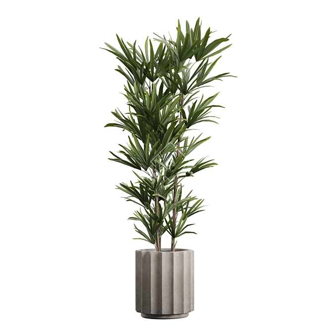 Exotic Indoor Plants Pack 66 3D model image 4