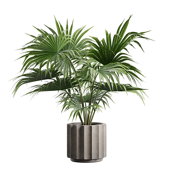 Exotic Indoor Plants Pack 66 3D model image 5