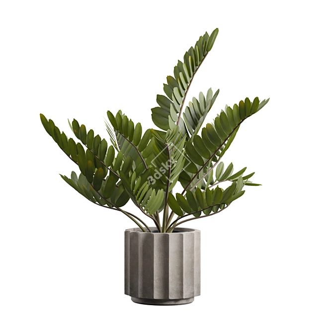 Exotic Indoor Plants Pack 66 3D model image 7