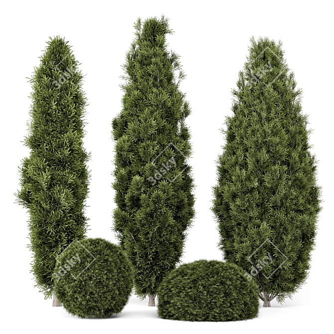 Pine Bushes Set for Outdoors 3D model image 1