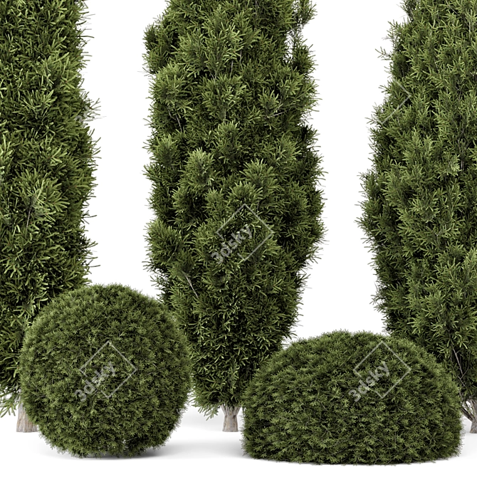 Pine Bushes Set for Outdoors 3D model image 2