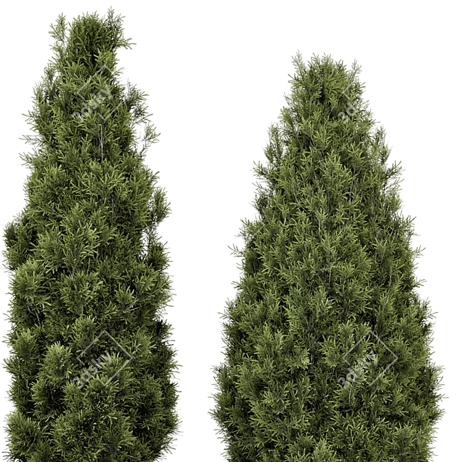 Pine Bushes Set for Outdoors 3D model image 4