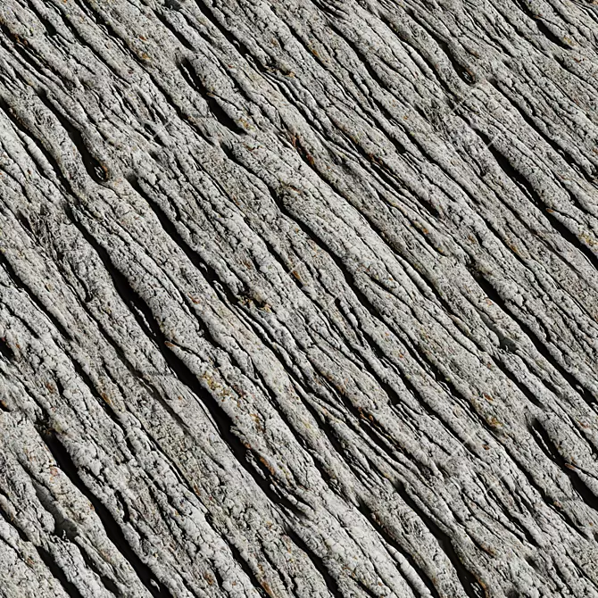 4K Seamless Bark Texture Set 3D model image 3