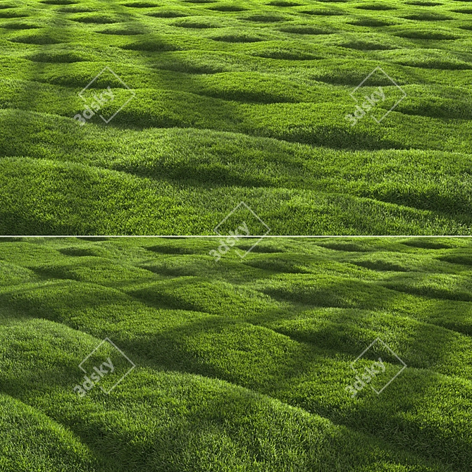 Grass Scatter 3D Model Kit 3D model image 2