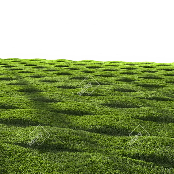 Grass Scatter 3D Model Kit 3D model image 4